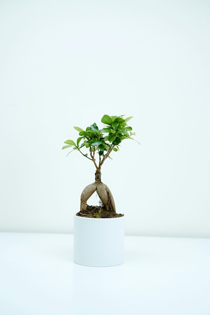 Avoid 7 Common Growth Stiflers. Readers, you deserve better than to think your personal development is going great. When you might be kind of stuck.