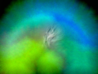 Your Surprising Update on Empath Empowerment® Books. Let's lead off with an aura photo of Rose, right before doing a Skilled Empath Merge. At the bottom of this article you'll see an aura photograph taken minutes later. When she was doing a Skilled Empath Merge with a small piece of malachite.